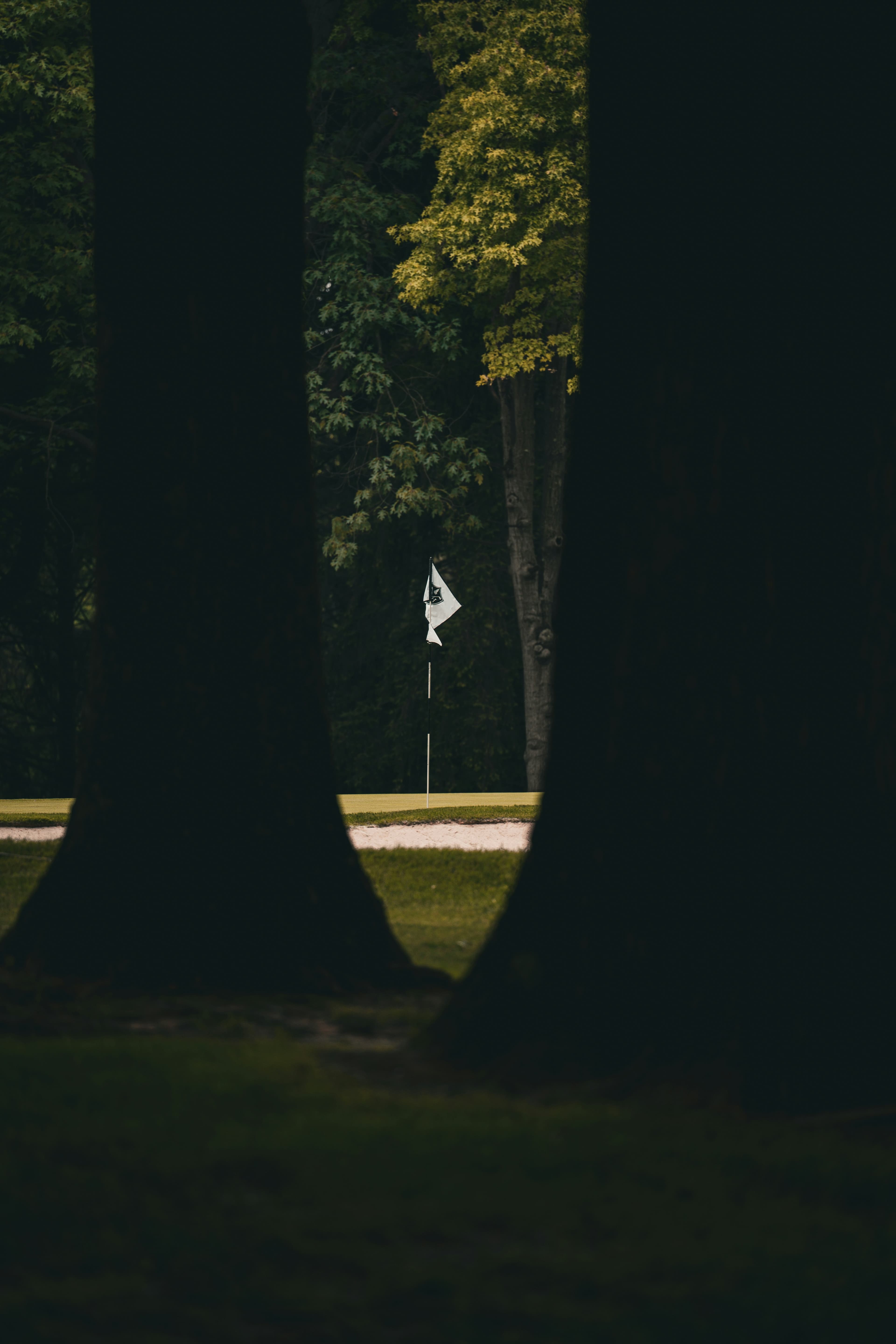 Golf flag through trees